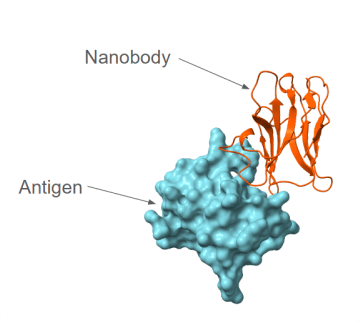 LV<sup>DO</sup> l Lentivirus Concentrator