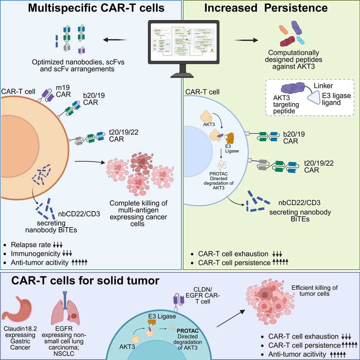 AI-Guided CAR Design and AKT3 Degradation Synergize to Enhance Bispecific and Trispecific CAR-T Cell Persistence and Overcome Antigen Escape